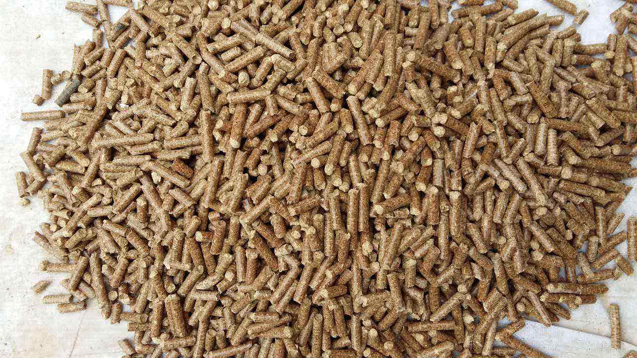 生物質(zhì)導(dǎo)熱油爐的原理跟應(yīng)用你知道多少？